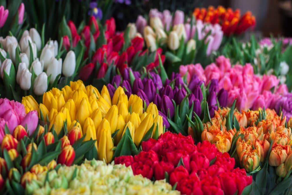 Kukkakaupassa Kiimingissä ymmärretään positiivisen asiakaskokemuksen merkitys.